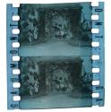 [Unidentified film clipping no. 69..102; 6894...6924; 20350...20356]
