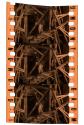 [Unidentified film clipping no. 69..102; 6894...6924; 20350...20356]