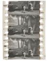 Die kleinen Wohltäter