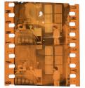 [Unidentified film clipping no. 153...172, 10827...10836, 20240...20244, 20534...20537]