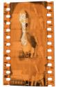 [Unidentified film clipping no. 153...172, 10827...10836, 20240...20244, 20534...20537]