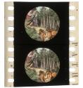 [Unidentified film clipping no. 254...266, 984...1005, 6036...6037, 14499...14504; Western in Pathecolor]