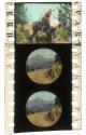 [Unidentified film clipping no. 254...266, 984...1005, 6036...6037, 14499...14504; Western in Pathecolor]