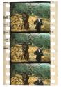 [Unidentified film clipping no. 254...266, 984...1005, 6036...6037, 14499...14504; Western in Pathecolor]