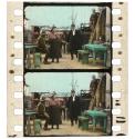 [Unidentified film clipping no. 254...266, 984...1005, 6036...6037, 14499...14504; Western in Pathecolor]