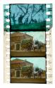 Western in Pathecolor