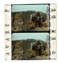 Western in Pathecolor