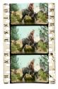 Western in Pathecolor