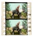 Western in Pathecolor