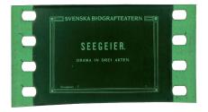 Havsgamar