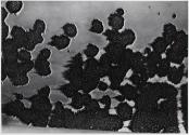[Rust or paint patterns on wall]