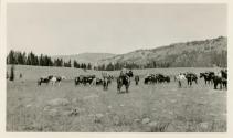 Near Enos Lake, Wyoming trip