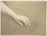 The hand of Madame Hugo