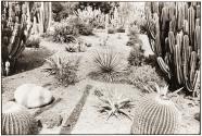 Huntington Gardens, California