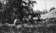 Camping companions with horses in woods, Wyoming Trip