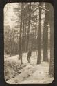 Man on trail in woods, Oak Lodge Trip