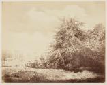 [Landscape]