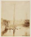 [Tree, pond, and village]