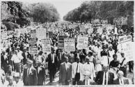 Placards in the parade