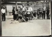 Sand-lot recreation