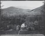Kem Brown in her Garden, Gimlet, Idaho