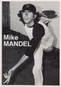 Mike Mandel