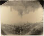 Untitled (Emmett Till River Bank)