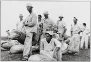 Waiting to weigh cotton