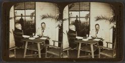 Baron de Rosen and M. White in Palm Garden, Hotel Wentworth, World Peace Conference, Portsmouth