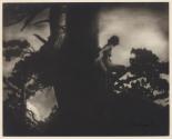 The Pine Sprite