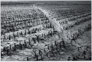 10000 acres