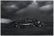 Storm debris