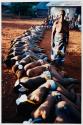 Venda Domba Dance Rite of Passage Celebration 2001