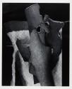 Untitled (Heidi's Bark) 359