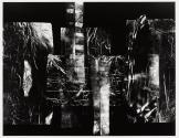 Untitled 295A