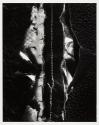 Untitled 1