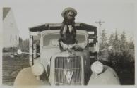 [Dog sitting on car]