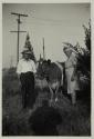 [Couple and cow]