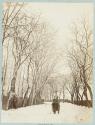 Temps de neige