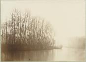 Le brouillard