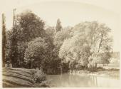 L'ile de Charentonneau