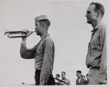 TAPS
