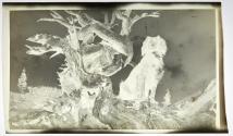[Dog with tree]