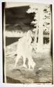 [Anne Brigman]