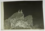 Some Snaps Of AB, Small Films Of AB