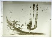 [Anne Brigman]
