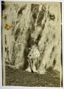 [Anne Brigman]