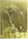 [Tree and dog figurine]