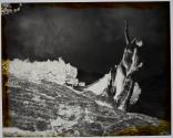 The Soul Of The Blasted Pine 1907