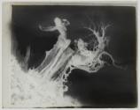 The Storm Tree